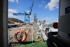 PD1A2292