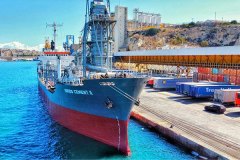Port-Handling-and-Clearance-category